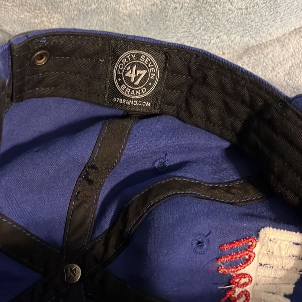 Cubs Hat - Picture 4 of 5
